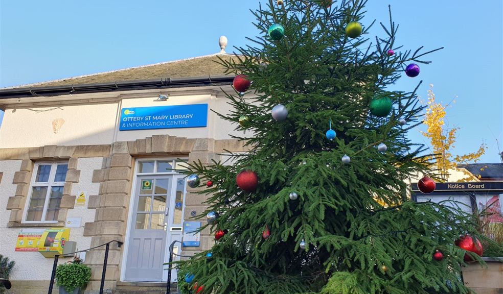 Christmas tree in Ottery St Mary