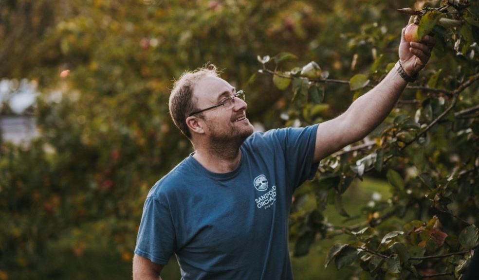 DEVON’S WET SUMMER IS BOOST FOR CIDER BUSINESS