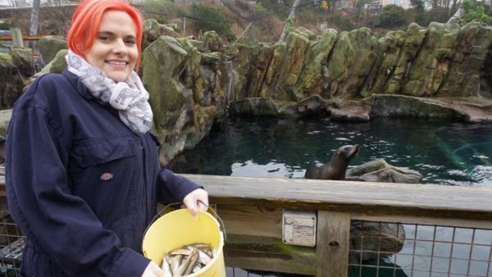 Experience Living Coasts