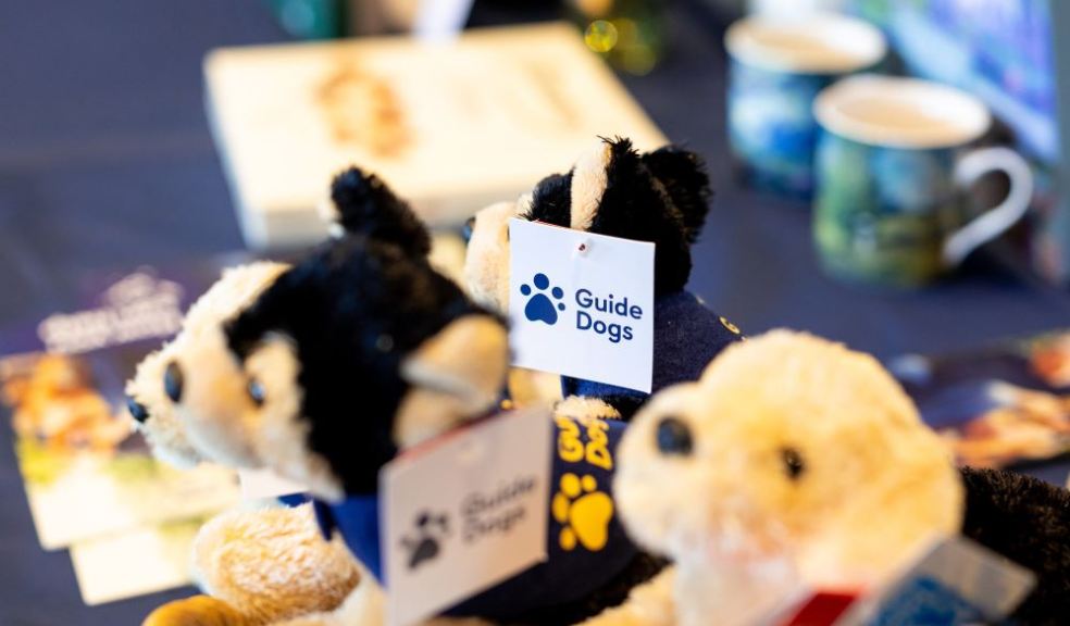 Some Guide Dogs fluffy soft toys on a merchandise stand. Some Guide Dogs fluffy soft toys on a merchandise stand.