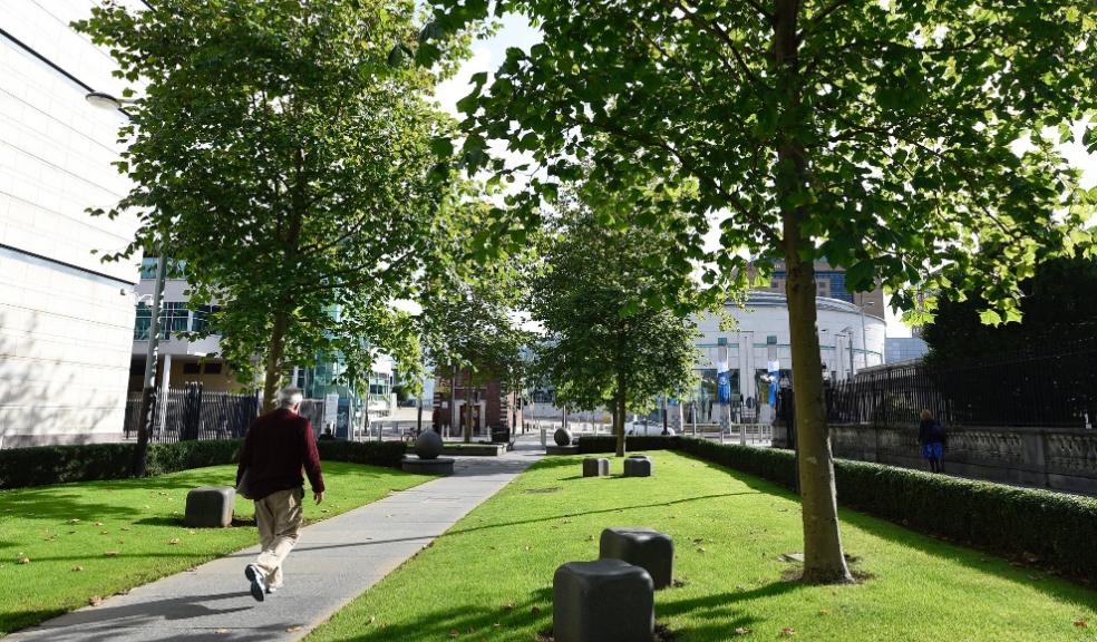 Councils share £600K cash boost to plant trees in the heart of communities in the South west Councils share £600K cash boost to plant trees in the heart of communities in the South west