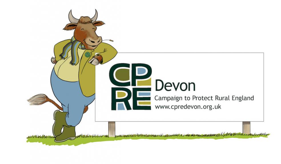 CPRE Devon's countryside ambassador, Barney the Bull