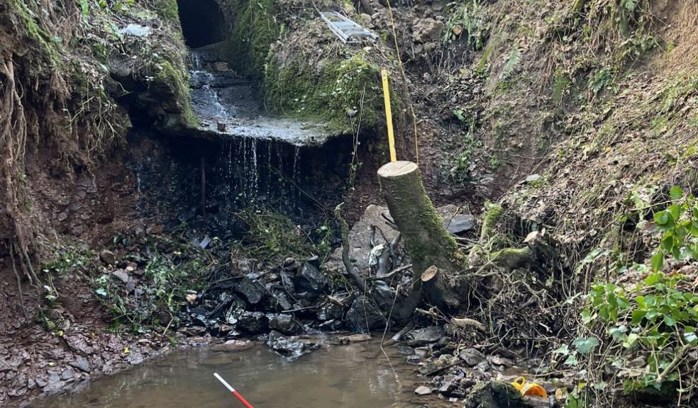 Collapsed retaining wall at Chineway Road.