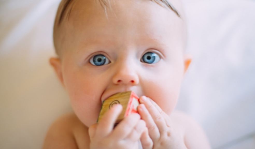 Free Baby Stuff for Moms Freebies for Moms, Baby playing with a toy