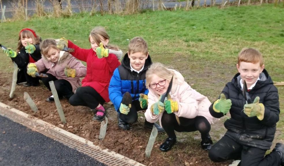 Hedgerow planting at Axminster