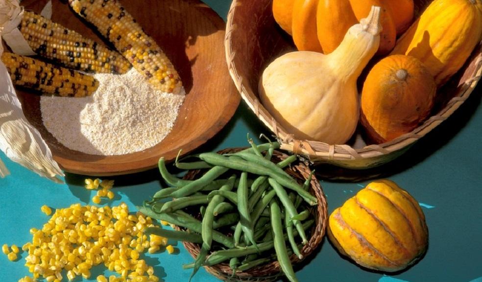 Indigenous foods of North America (alt="")