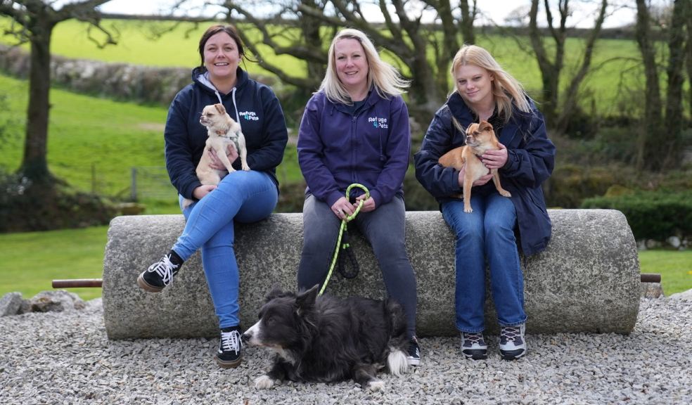 Mary and the team Refuge4Pets