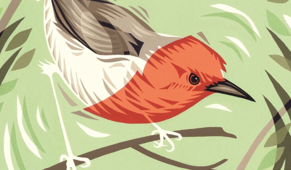 Mrs Moreau's Warbler - How Birds got Their Names