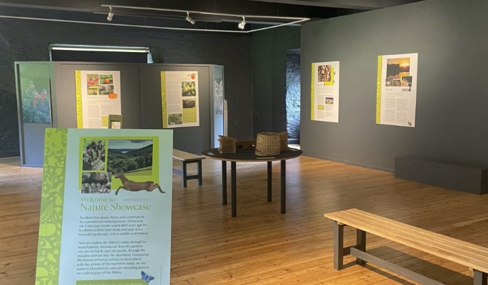 Nature showcase at Buckland. Photo: National Trust, Ella Hegarty