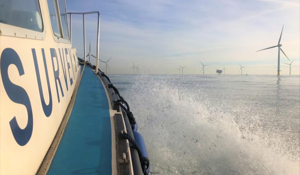 Ocean Ecology survey Ocean Ecology survey