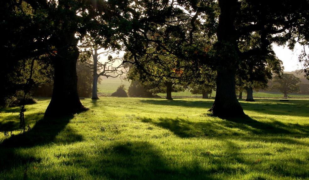 Poltimore Park. Photo: Simon Bates.