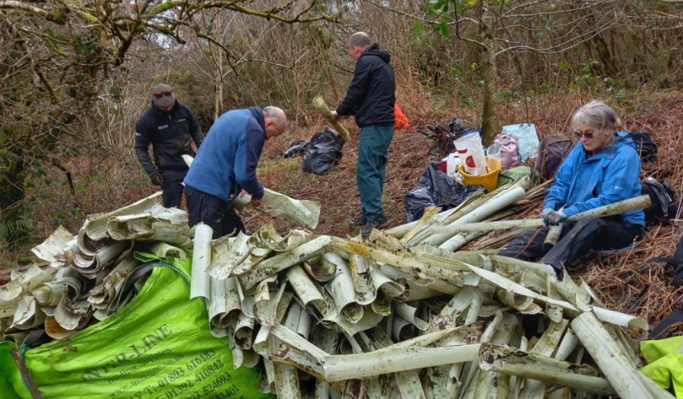 Hard-working volunteers and DNPA staff remove scores of tree guards in major tidy up
