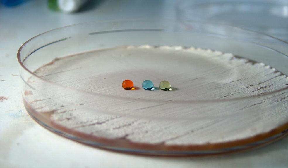 Copyright Dr Geertje van Keulen