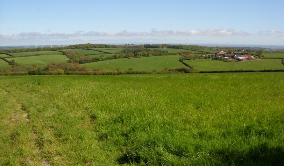 A view of open countryside beside the A30 where a retail development has been refused consent A view of open countryside beside the A30 where a retail development has been refused consent