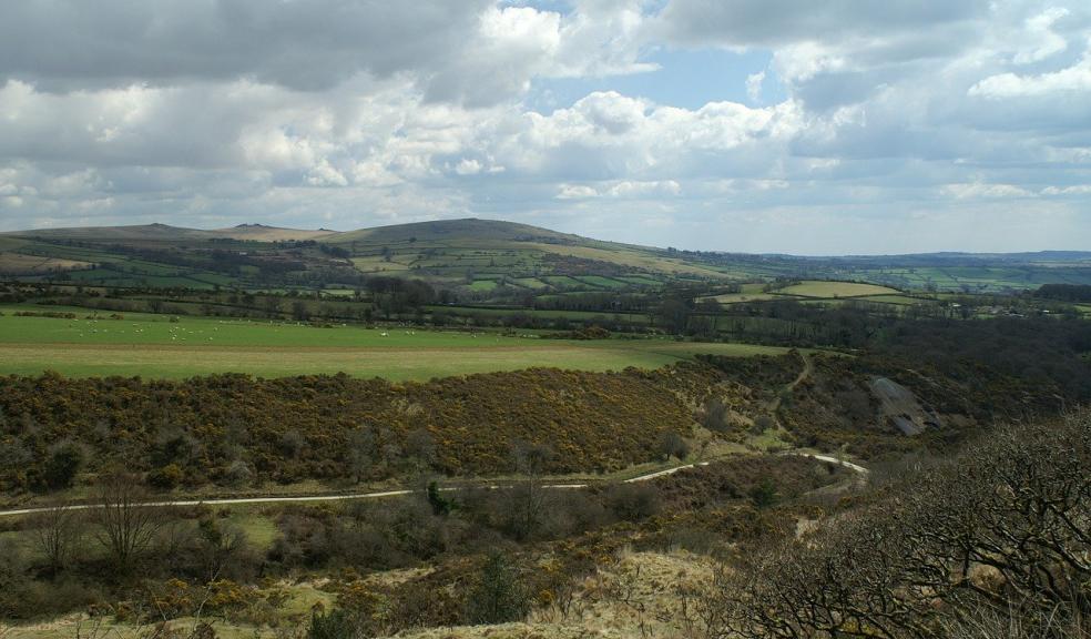 Dartmoor Pony Heritage Trust