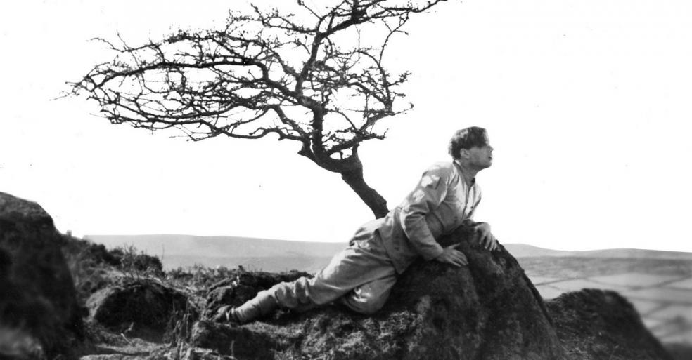 A Cottage on Dartmoor (1929)