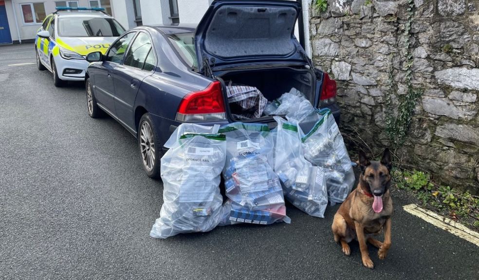 Photo caption:the illicit tobacco products and non-UK compliant vapes seized, with BTP dog