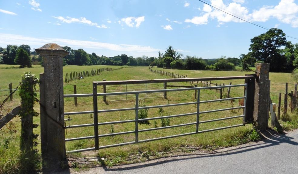 Former crossing gateway and trackbed on disused Sidmouth branch line near Ottery St Mary (Image: Roger Cornfoot / Geograph)