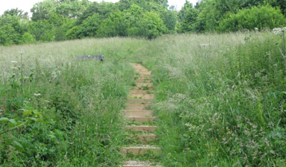 Ham Woods