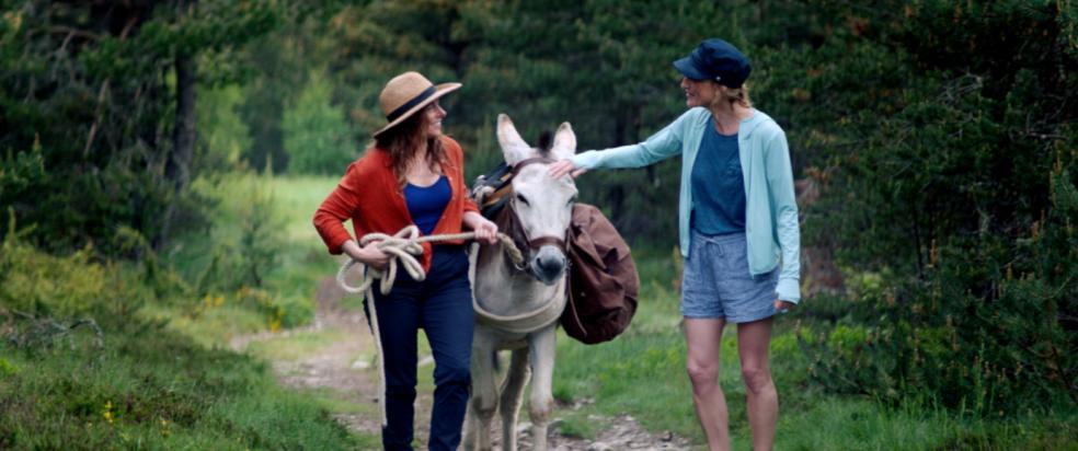 My Donkey, My Lover and I French Film Festival