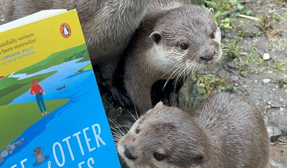 Otters view their new book