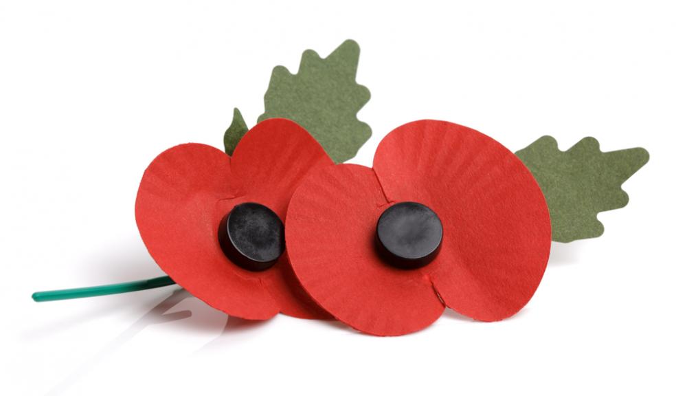 The Royal British Legion's Poppy Appeal 2013 launches today
