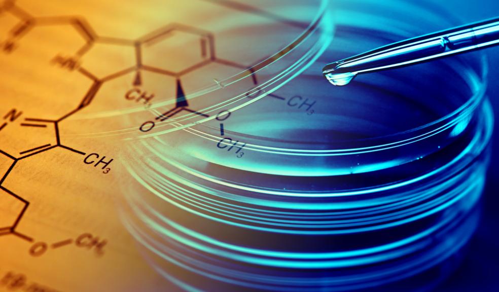 Plymouth University research provides hope for bladder cancer care