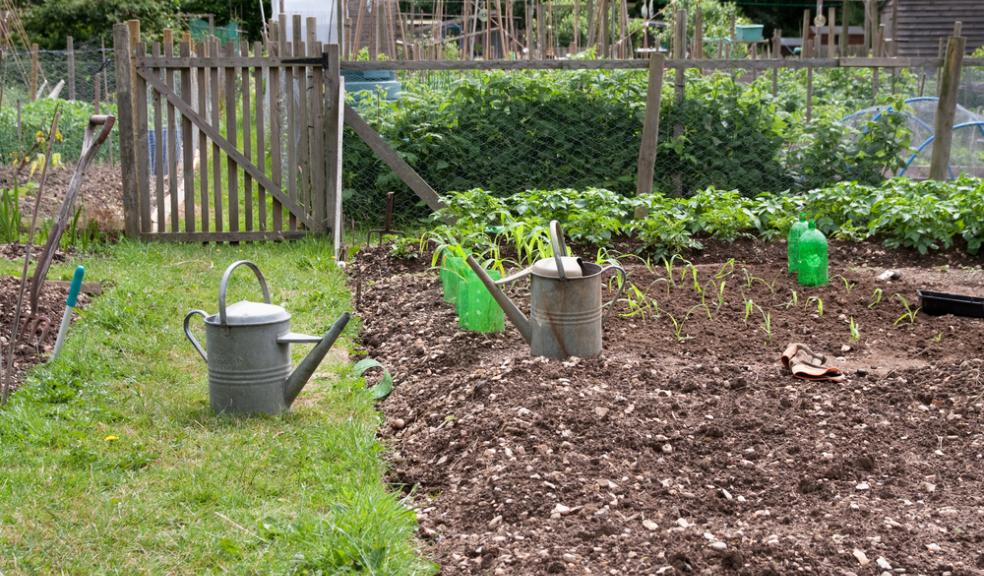 City neighbourhoods get cash boost for community schemes such as allotments, youth clubs and community centres