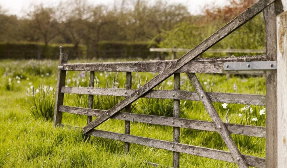 Yeo Valley says no to mowing this May Yeo Valley says no to mowing this May