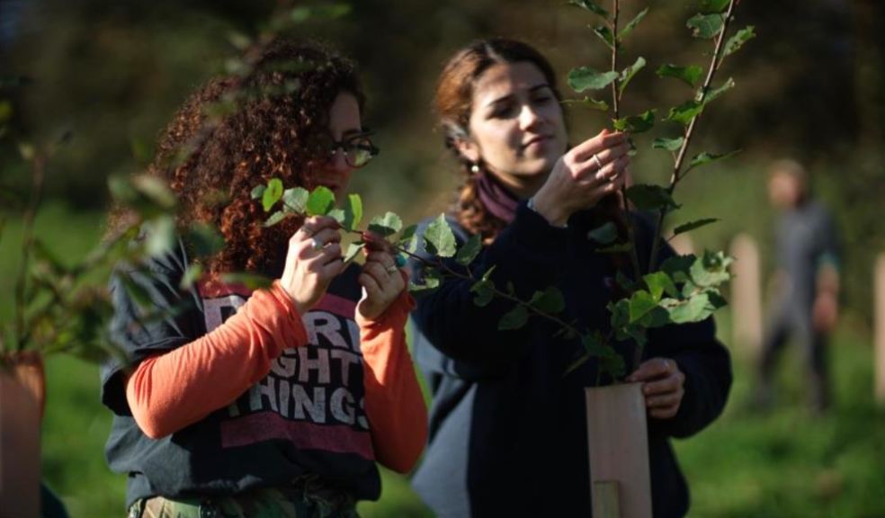 Photo caption: Trix Bernberg (Ambios Community Forest Ranger) and Claudia Sans (Autumn 2024 Ambios Nature Recovery Trainee) identifying the leaves of a recently planted tree.