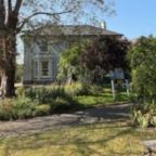 House with Eucalyptus tree in garden
