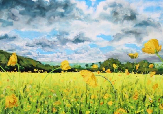 Buttercups at Ide by Joe Webster