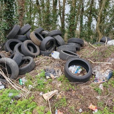 A photo of a fly-tip in East Devon with a pile of tyres