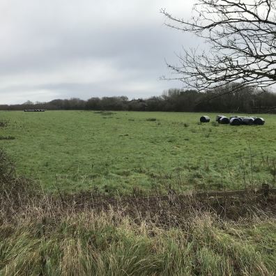 The development site for 59 new homes at Chivenor Cross, for which permission was granted on appeal