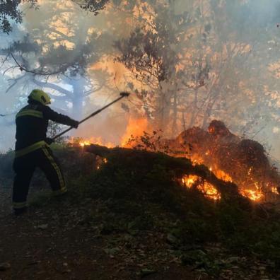 Fire service asks public to avoid disposable BBQs this holiday