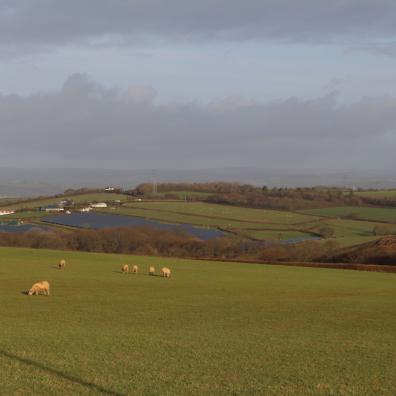 Partial view of the existing Collacott solar array on land adjacent to the proposed new solar farm