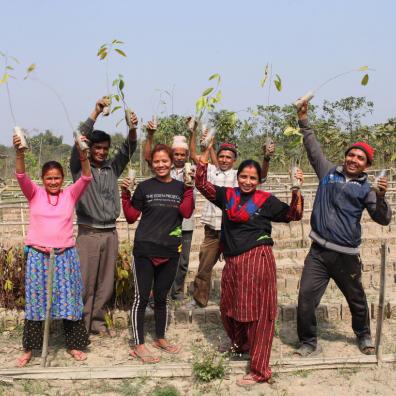 ‘The Billion Trees Project’ helps rebuild sustainable communities (Photo: Eden Reforestation Project