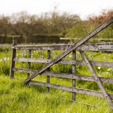 Yeo Valley says no to mowing this May