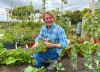 Man in an allotment garden holding rhubarb