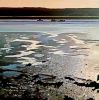 Mark Fielding - Low Tide at Topsham